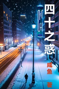 小说《四十之惑》
